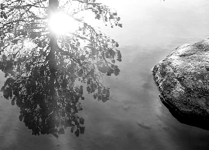jazero, reflexie, strom, Rock, Pyrénées
