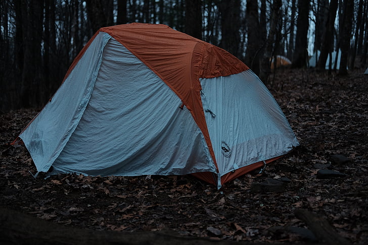 tente, aventure, en plein air, arbres, plantes, nature, Camping