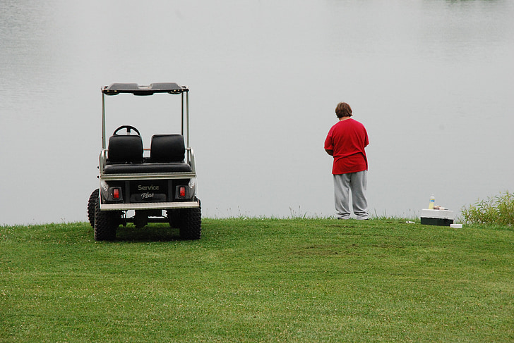 golf cart, lawn, summer, lake, countryside, outdoors, leisure