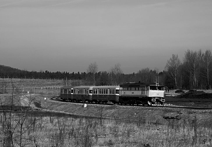 поезд, черно-белая фотография, пейзаж