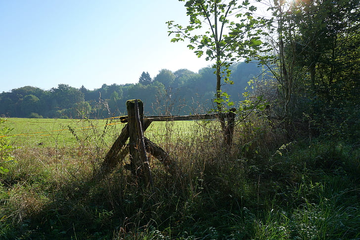 fence, meadow, forest, pasture, wood fence, wood, nature