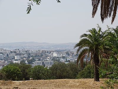 Tunísia, Tunis, cidade, árvore, Palm, paisagem