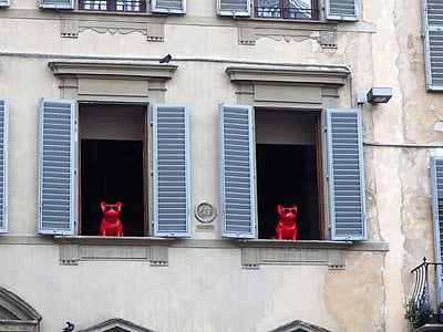 Флоренция, Италия, окно, собаки, красный, город, Архитектура