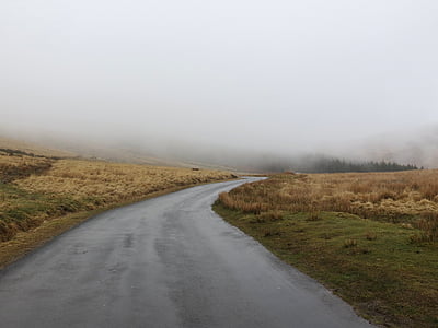 road, travel, adventure, field, grass, fog, nature