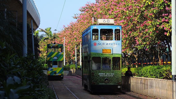 Hongkong, tram, stedelijke, spoorwegen, Toerisme, tram, weg