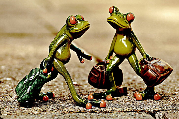 frogs, vintage, funny, travel, luggage, holdall, go away