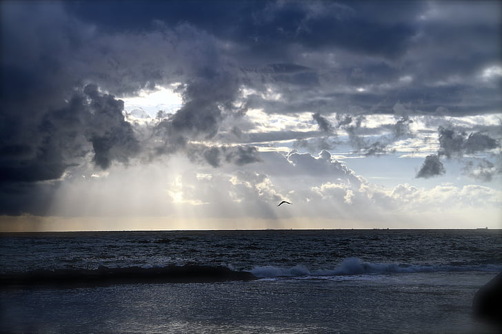 海, 地平線, 雲, 海, 太陽光線, 天気, 曇り
