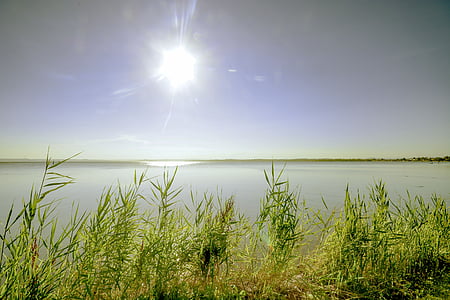 озеро, Захід сонця, очерету