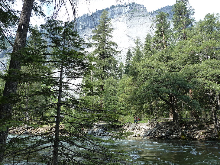 Yosemite, dağlar, Woods, roadtrip, doğa, Park, Kaliforniya