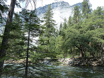 Yosemite, hory, Woods, roadtrip, Příroda, parku, Kalifornie