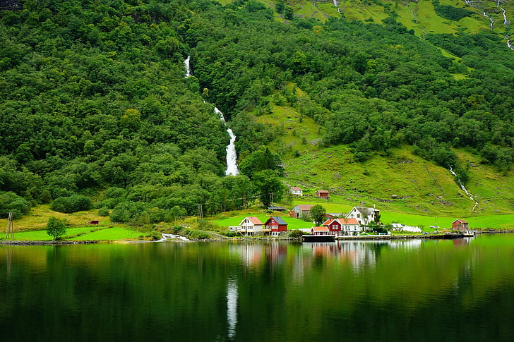 Norwegen, der fjord, songne