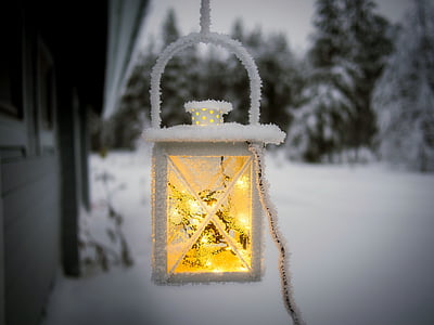 灯笼, 光, 冬天, 雪, 森林, 伍兹, 树木