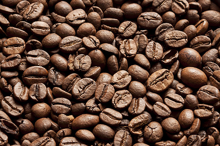 coffee beans, roasted, brown, caffeine, café, drink, breakfast