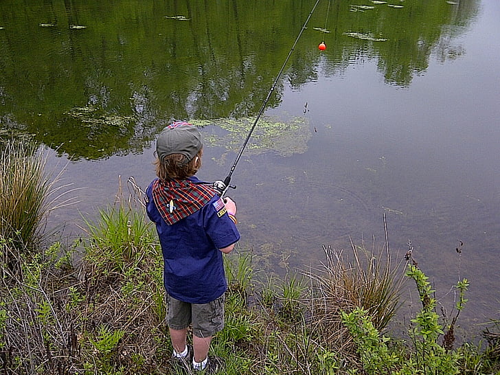 fishing, outdoors, young, fisherman, nature, water, fish