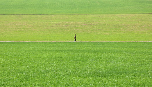 jog, alone, lonely, meadow, green, grass, nature