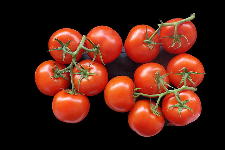 tomater, Bush tomater, mat, röd, Frisch