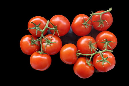 rajčice, grm rajčice, hrana, Crveni, Frisch