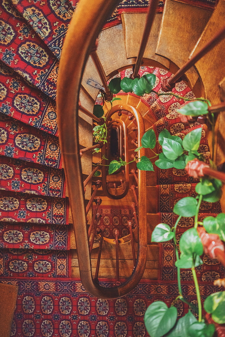 brown, wooden, spiral, stairs, red, floral, carpet