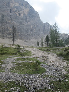 Dolomiitit, vuoret, maisema, Luonto, Metsä, Italia