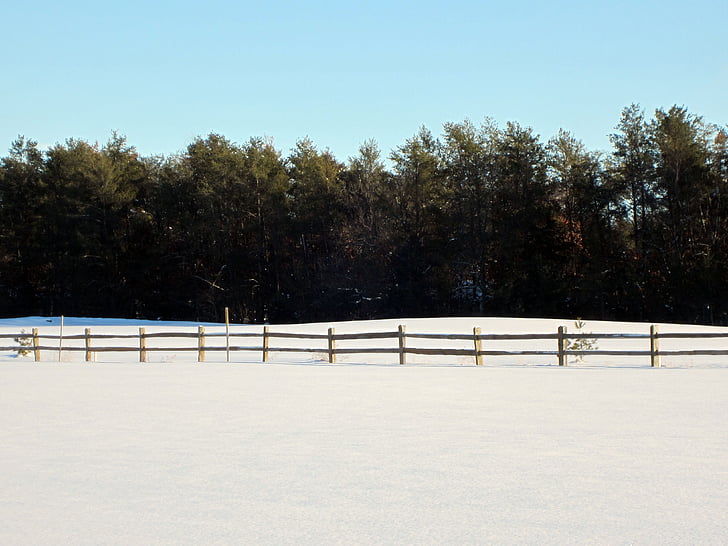 zimné, pole, plot, treelike, modrá obloha, horizontálne, sneh