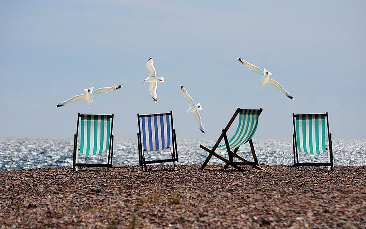 cztery, biały, ptaki, pływające, w pobliżu, składane, krzesła