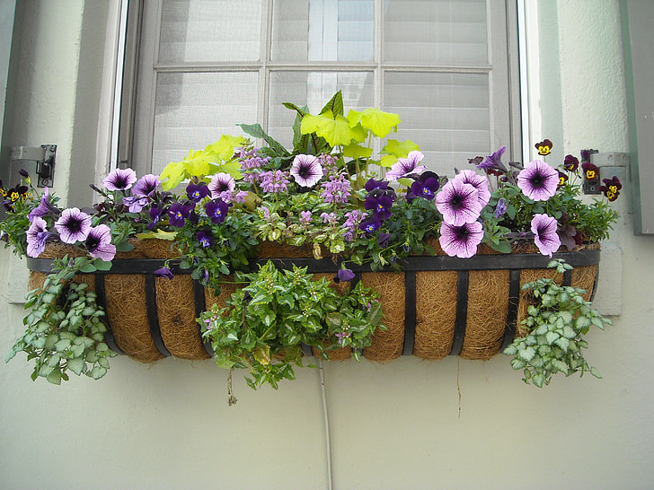 venster in, bloemen, venster, vak, huis, het platform, buitenkant