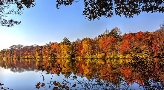 rudenį, lapai, rudenį, Gamta, sezono metu, spalva, spalio