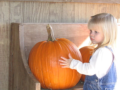 pumpkin, patch, harvest, orange, farm, child, autumn