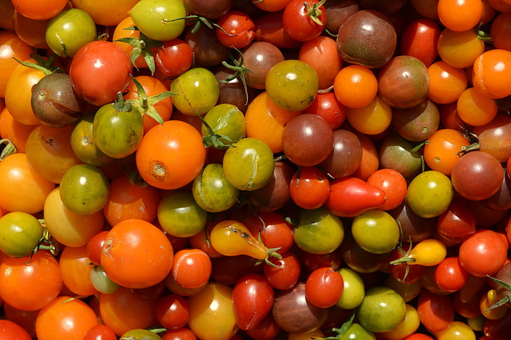 spalvos, pomidorai, daržovės, Vyšniniai pomidorai, maisto, vaisių, šviežumo