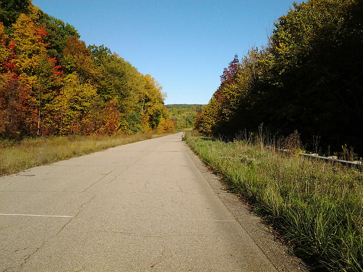 jeseni, cesti, dreves, pisane, padec, gozd, barva