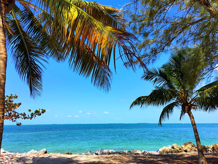 Key Westin, Florida, Beach, Ocean, vesi, Tropical, maisema