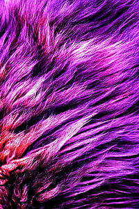 foux, fur, purple, material, fashion, full frame, backgrounds