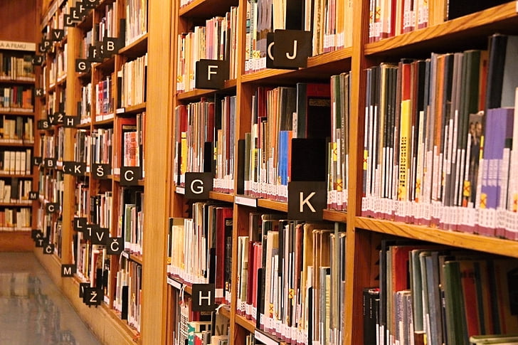 books, library, alphabet, reading, book, shop, read