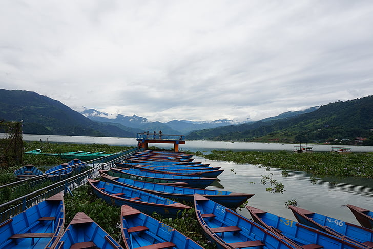 båt, Nepal, Pokhara, reise, natur, landskapet, phewa