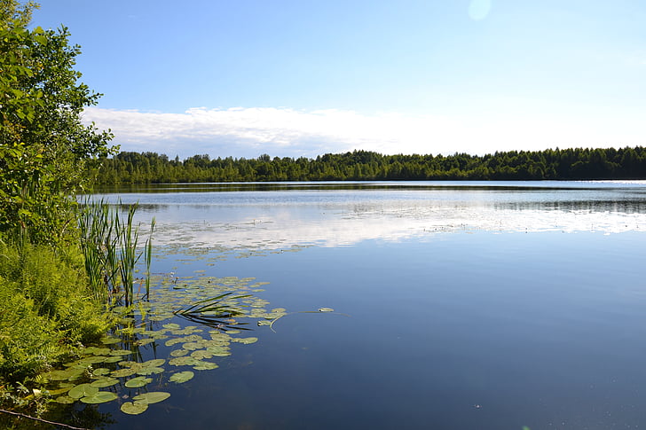 nature, lake, forest, russia, landscape, smooth surface, tranquility