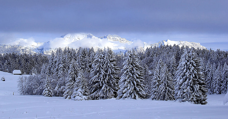 krajobraz, śnieg, zimy, piesze wycieczki, góry, biały, niebo