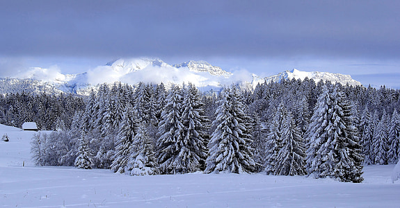 пейзаж, снег, Зима, Пешие прогулки, Гора, Белый, небо