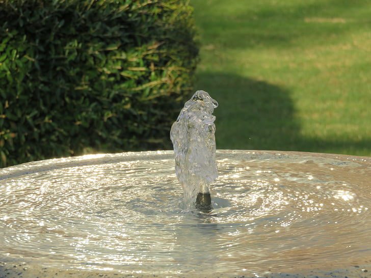water, flow, fountain, white, park, one animal, bird