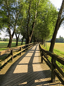 Ponte, Web, legno, distanza, escursionismo, alberi, Ponte di legno