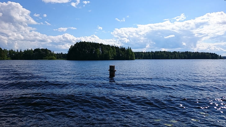sjön, stranden, träd, vatten, Finska, naturen foto, blå