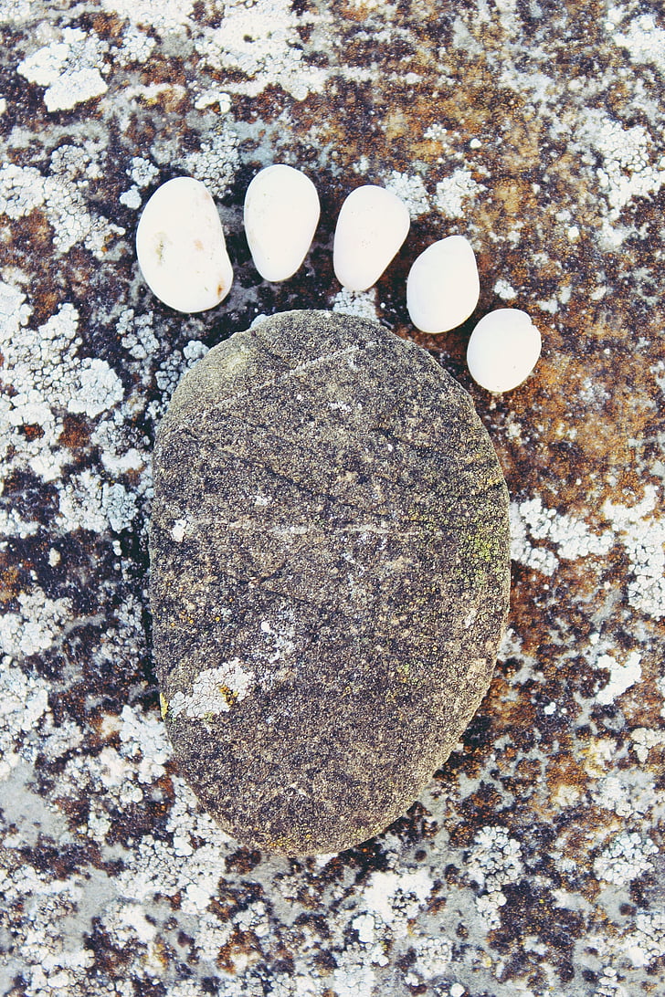piedra, stonefoot, pie, reimpresión, huella, frío, diez