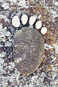 steen, stonefoot, voet, herdruk, voetafdruk, koude, tien