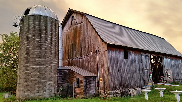 ladugården, silo, gård, sommar, jordbruk, Wisconsin, USA