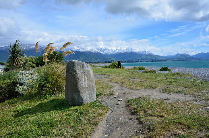 Kaikoura, Canterbury, Nieuw-Zeeland, West end, Aotearoa, steen, kust