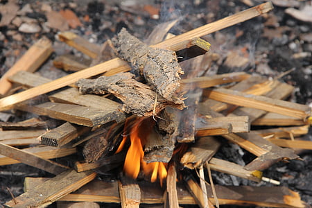 огън, готвене, пламък, дърва