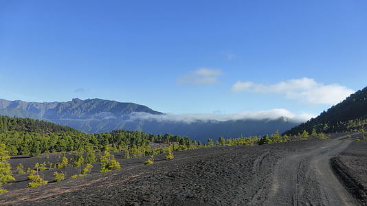 вулканичен пейзаж, Палма, Канарските острови, пепел, дървета, контраст