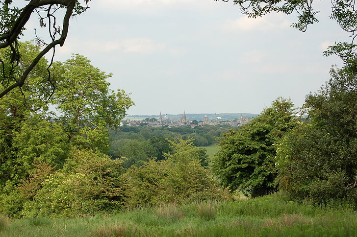 Oxford, dreaming spires, Oxbridge, spires, colline de sanglier, couvent de Carmes, campagne