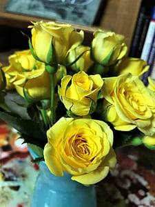 žltá, ruže, Texas, kvet, kvet, jar, darček