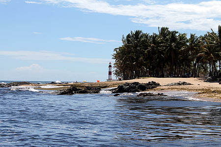 Farul, peisaj, plajă, itapoá, Salvador, Bahia, Mar