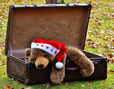 圣诞节, 行李, 古董, 泰迪, 软玩具, 毛绒玩具, 玩具
